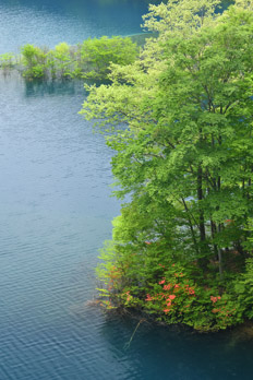 ashiya210501
