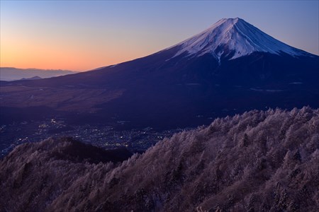 sugimoto221202