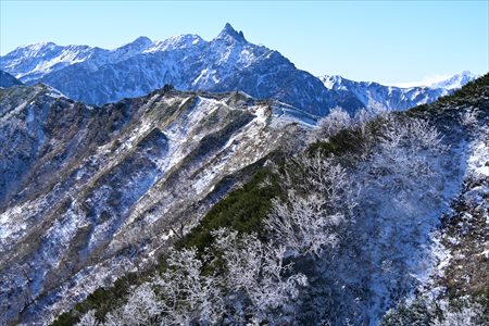 takahashi241203