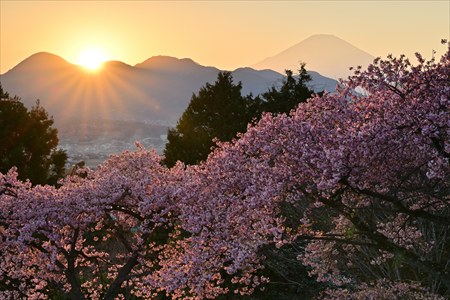 ashiya250302