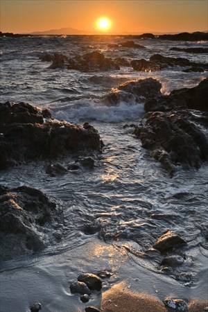 ashiya250304