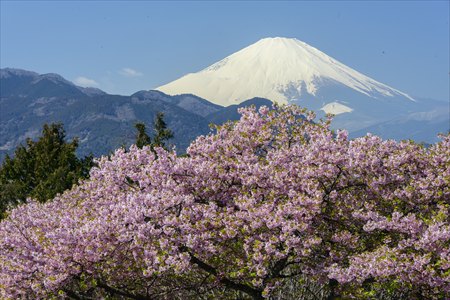 kurakake250301