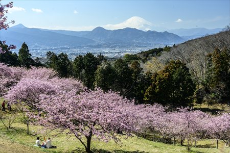 kurakake250302