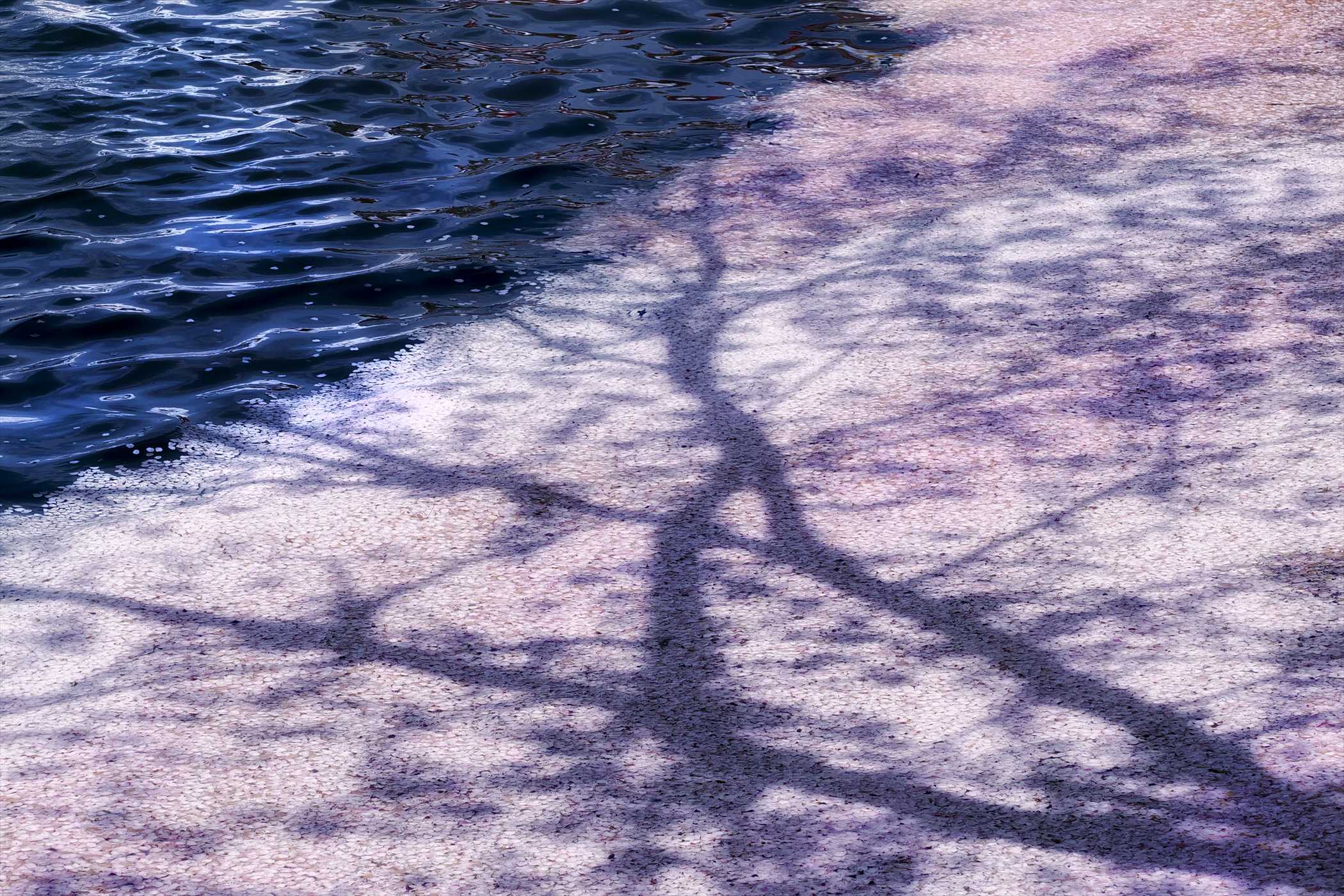 slide05