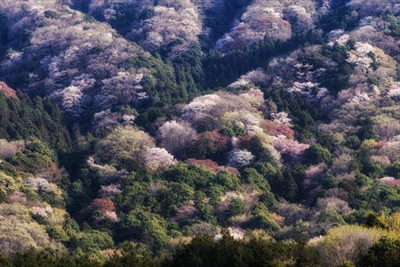 fukushima250402