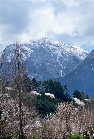 ishii250403