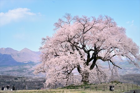 ishii250404