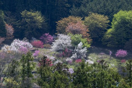 kokubo250402