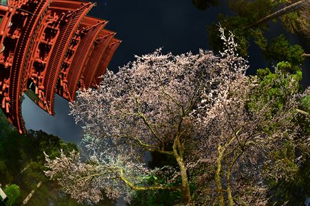 takahashi250402