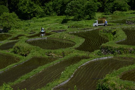 sugimoto250504