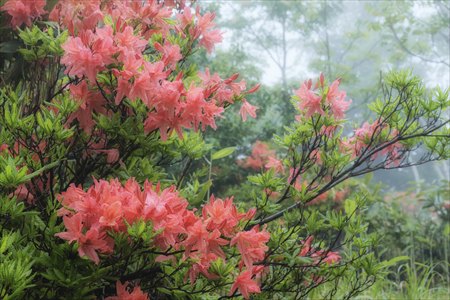 fukushima250602