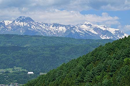 takahashi220503
