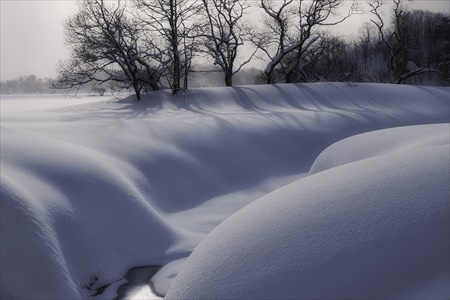 fukushima 15201
