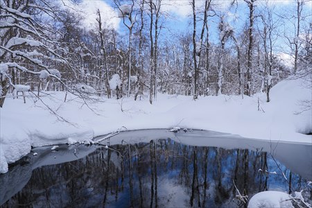 fukushima 15203