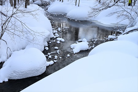 yamagishi 15203