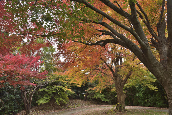 Tsuneyoshi Works 06